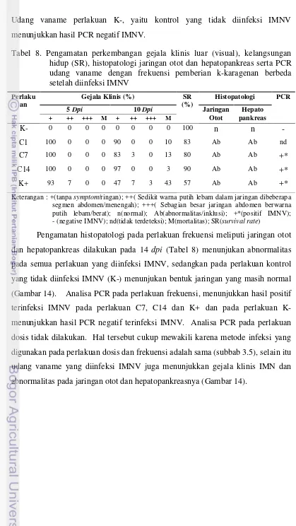 Tabel 8. Pengamatan perkembangan gejala klinis luar (visual), kelangsungan hidup (SR), histopatologi jaringan otot dan hepatopankreas serta PCR udang vaname dengan frekuensi pemberian k-karagenan berbeda setelah diinfeksi IMNV 