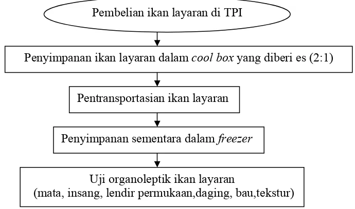 Gambar 3 Diagram alir uji organoleptik ikan layaran (Istiophorus sp.) 