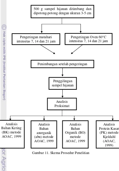 Gambar 11. Skema Prosedur Penelitian 