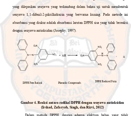 Gambar 4. Reaksi antara radikal DPPH dengan senyawa antioksidan 