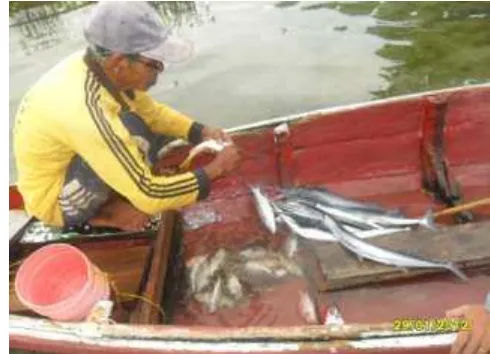 Gambar 8  Nelayan yang menangkap ikan di lokasi penelitian 