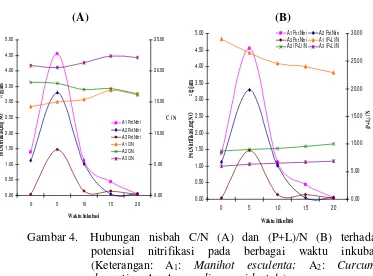 Gambar 4.  Hubungan nisbah C/N (A) dan (P+L)/N (B) terhadap potensial nitrifikasi pada berbagai waktu inkubasi (Keterangan: A1: Manihot esculenta; A2: Curcuma domestica; A3: Anacardium occidentale)  