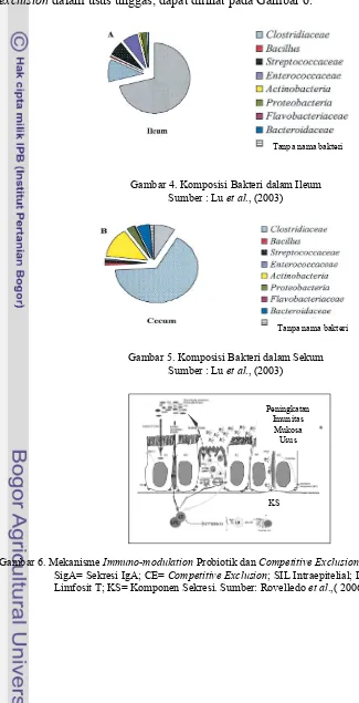 Gambar 4. Komposisi Bakteri dalam Ileum 