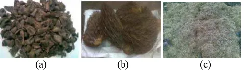 Gambar 1. Limbah industri kelapa sawit (a) Cangkang, (b) Tandan Kosong Kelapa Sawit, dan (c) Serat Tandan Kosong Kelapa Sawit 