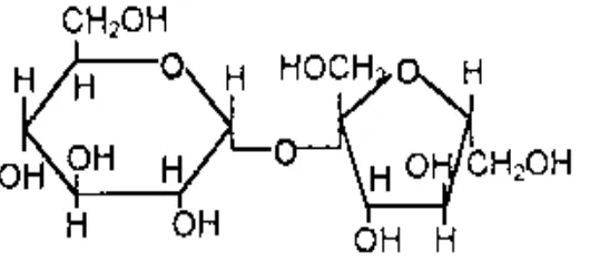 Gambar 4. Struktur kimia molekul sukrosa (Dwidjoseputro, 1994)