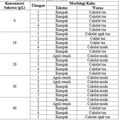 Tabel   1.Morfologi kalus R. verticillata pada media MS dengan variasi 