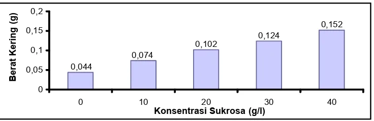 Tabel  3. Rata-rata berat kering kalus R. verticillata pada media MS dengan variasi   konsentrasi sukrosa.