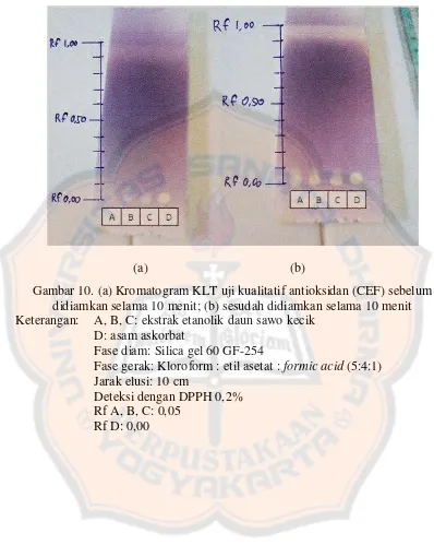 Gambar 10. (a) Kromatogram KLT uji kualitatif antioksidan (CEF) sebelum 