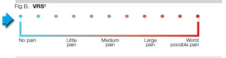 Gambar 6. Verbal Rating Scale 