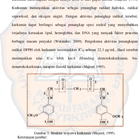 Gambar 3. Struktur senyawa kurkumin (Majeed, 1995). 