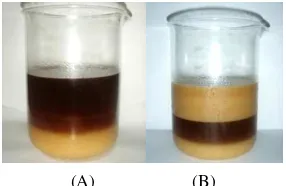 TABLE COMPARISON II (A)                                            (B)  OF GLYCEROL RATE  