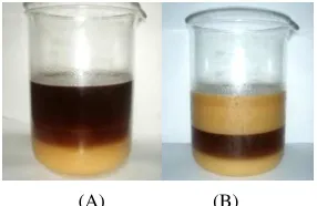 TABLE COMPARISON II (A)                                            (B)  OF GLYCEROL RATE  