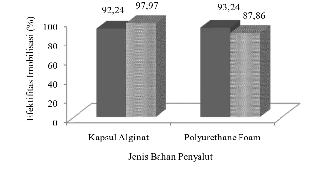 Gambar 6.  Efektifitas imobilisasi bakteri menggunakan bahan penyalut alginat dan polyurethane foam 