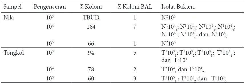 Tabel 1 Jumlah koloni bakteri asam laktat dari pencernaan ikan nila dan tongkol yang tumbuh pada media MRS agar