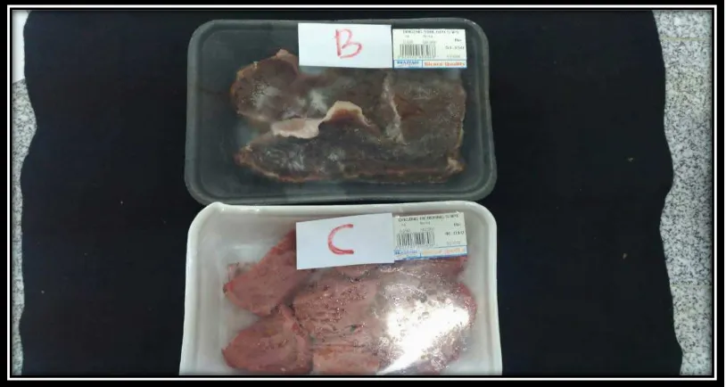 Gambar lampiran 1. Sampel daging sapi beku dan tidak beku dari Transmart Medan fair 