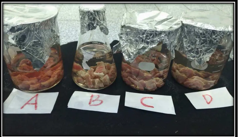 Gambar lampiran 4. Hasil Uji MPN bakteri Escherichia coli pada sampel daging sapi. 