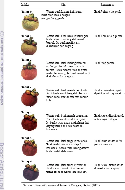 Tabel 5. Indeks kematangan buah manggis  