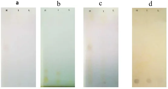 Gambar 1.  Hasil KLT pemisahan fraksi metanol ekstrak air Jinten Hitam dengan  fase gerak methanol:chloroform (1:9) secara visual (a) Alkaloid deteksi   dengan Dragendroff (b) Terpenoid deteksi dengan vanillin-H2SO4  (c)  Flavonoid  deteksi dengan sitoborat (d) Fenolik deteksi dengan FeCl3,  H = Habasyah     I = India   L = Lokal  
