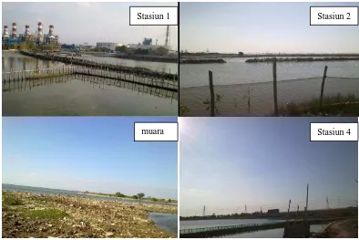 Gambar 3. Tempat pengambilan sampel ikan stasiun 1,2,4 dan muara Banjir Kanal Timur