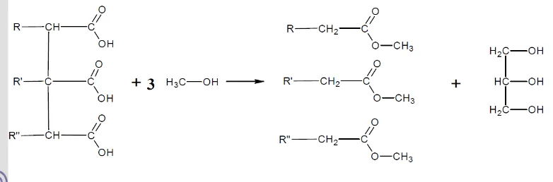 Gambar 7. Reaksi transesterifikasi antara lemak atau minyak dengan metanol (Hui, 1996)