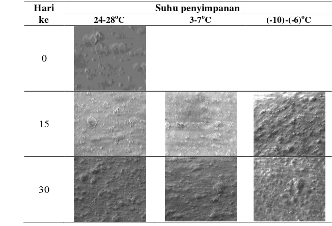 Gambar 10. Pengaruh suhu penyimpanan terhadap morfologi permukaan plastik biodegradabel (perbesaran 200x) 