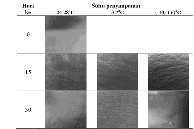 Gambar 11. Pengaruh suhu penyimpanan terhadap morfologi permukaan plastik HDPE 