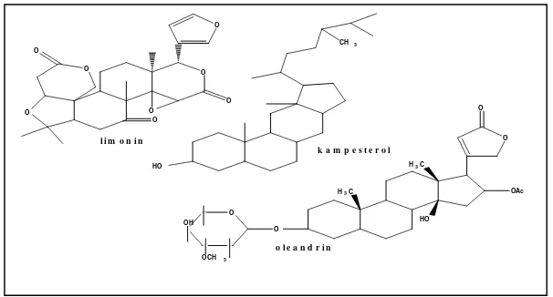 Gambar 4. Struktur Diterpen (Padmawinata, 1987) 