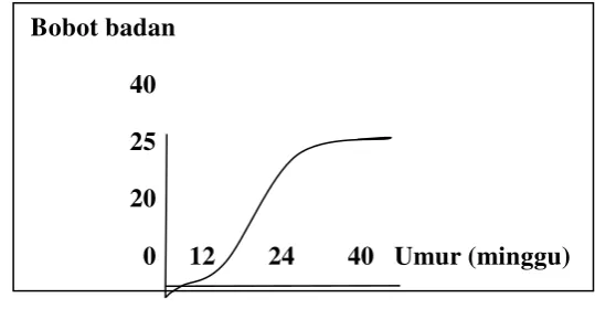 Gambar 1. Kurva Sigmoid pertumbuhan pada domba 