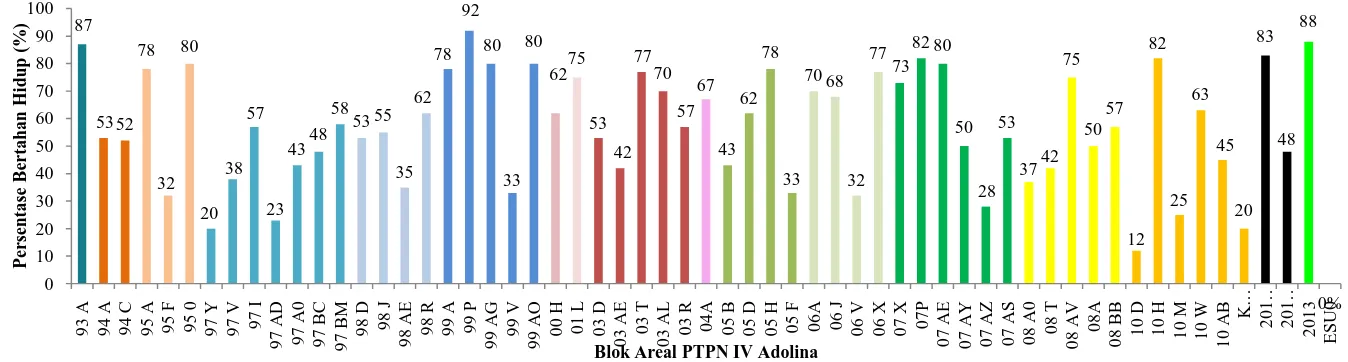 Gambar 1. Persentase gulma bertahan hidup rumput belulang 3 MSA glifosat (480 g b.a/ha ) padapopulasi 58 blok kebun Adolina dan        populasi sensitif  