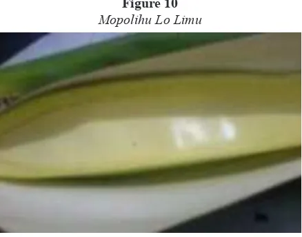 Figure 10 Mopolihu Lo Limu