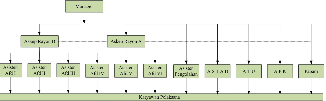 Gambar 2.1. Struktur Organisasi PT. Perkebunan Nusantara III Kebun Rantau Prapat 