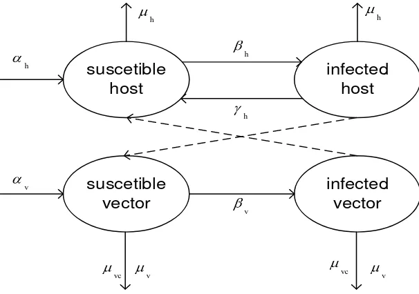 Gambar 1. Skema pemodelan. Susceptible host (vector) terinfeksi oleh vector (host) melalui 
