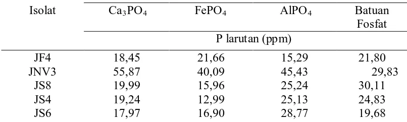 Tabel 4. Hasil pengukuran P-tersedia tahun 2013        Sumber Fosfat 