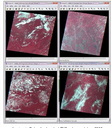 Gambar 4.   Data citra Landsat TM+  rekaman tahun 2003 