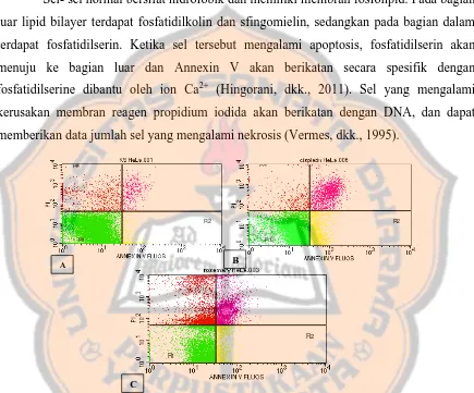 Gambar 3. Efekdiberi ekstrak metanol daun rosemary 160 µg/mL dan cisplatin 18 µg/mL diinkubasi selama 24 jam, dan serviks HeLadiwarnai dengan reagen annexin V dan propidium iodida (PI) ekstrak metanol daun rosemary dan cisplatin dalam menginduksi apoptosis