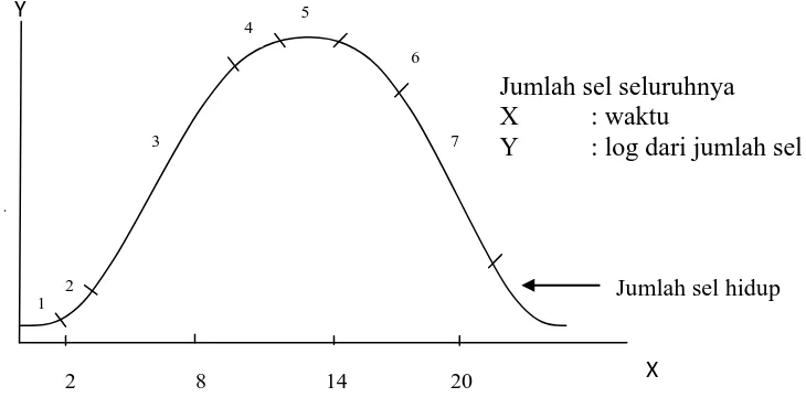 Gambar 2.1  Grafik yang menunjukkan fase-fase pertumbuhan bakteri: 1. Fase adaptasi, 2
