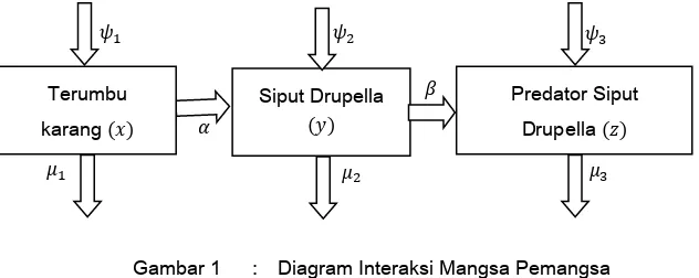Gambar 1 :  Diagram Interaksi Mangsa Pemangsa 