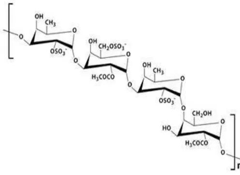Gambar 2.1 Struktur senyawa fukoidan 