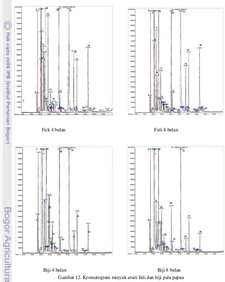 Gambar 12. Kromatogram minyak atsiri fuli dan biji pala papua 