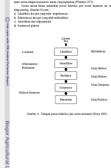 Gambar  9.  Tahapan proses hidrolisis pati secara enzimatis (Olsen 1995) 