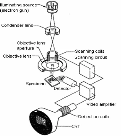 Gambar 6.  Scanning Electron Microscope (SEM)  (PPGL, 2006) 