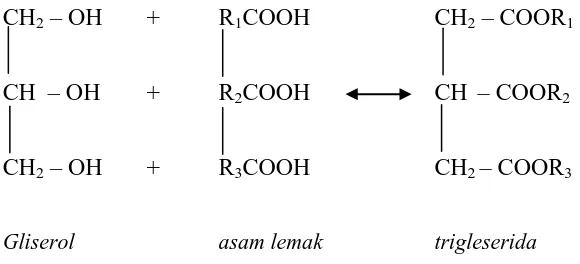 Gambar 1. Reaksi pembentukan trigliserida oleh asam lemak 