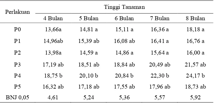 Tabel 1. Rata-rata Tinggi Tanaman Anggrek Dendrobium Umur 4,5,6,7 dan 8 Bulan.  