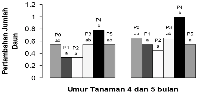 Grafik 1. Pertambahan Jumlah Daun Anggrek Dendrobium Umur 4 dan 5 Bulan.   