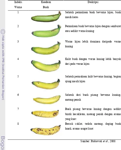 Tabel 3. Deskripsi kematangan buah pisang berdasarkan warna kulit
