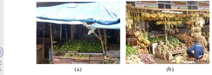 Gambar 4. (a) Lapak kaki lima di Pasar Bogor, (b) kios buah/oleh-oleh di Sari Barokah 