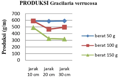 Gambar 1. Produksi Gracilaria verrucosaselama Penelitian 