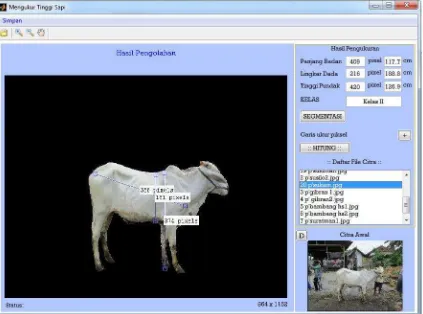 Gambar 5 Tampilan GUI sistem klasifikasi sapi peranakan Ongole 