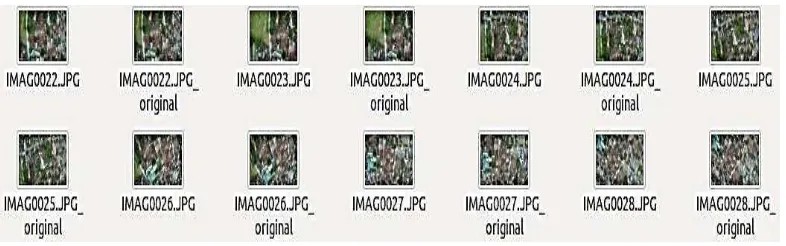 Gambar 6 Foto yang telah diperbarui metadatanya beserta backup file-nya 