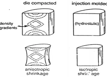Gambar 2.10. Crack propagation pada material berpori (German, 1994). 